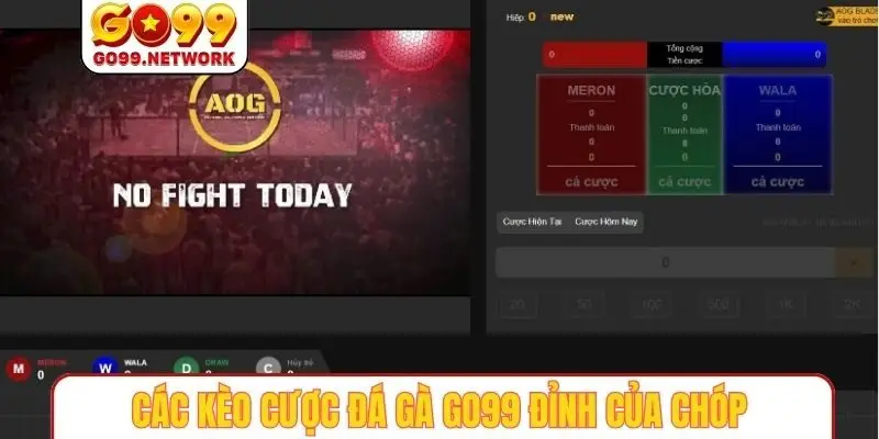 Các kèo cược đá gà GO99 đỉnh của chóp