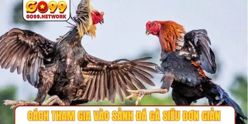 Cách tham gia vào sảnh đá gà siêu đơn giản