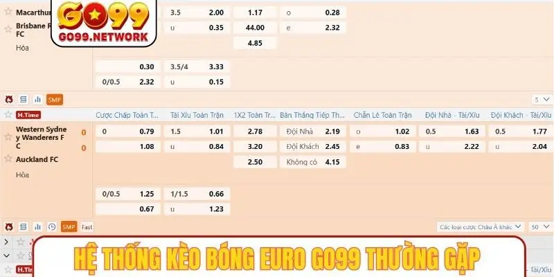 Hệ thống kèo bóng EURO GO99 thường gặp