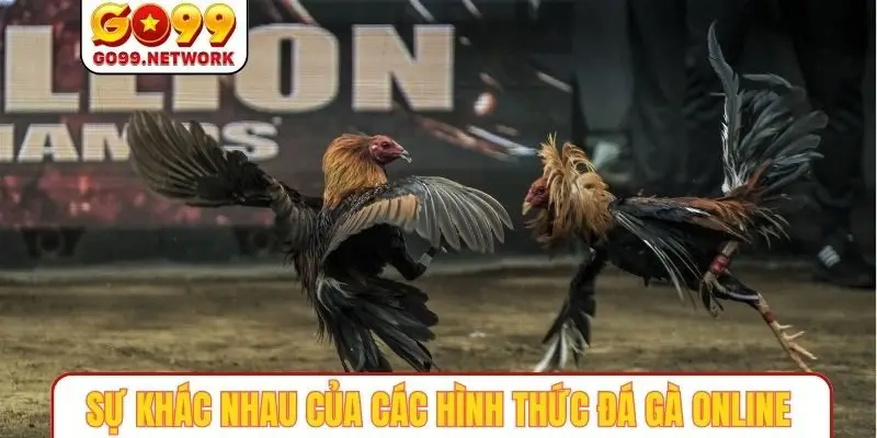Sự khác nhau của các hình thức đá gà online