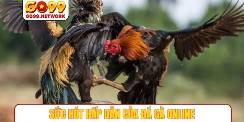 Sức hút hấp dẫn của đá gà online